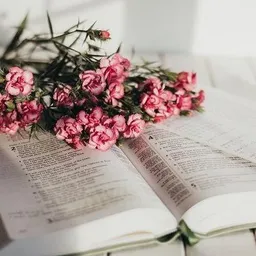 شعار قصص وᤤ رﻭﯡاياات.