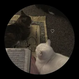 شعار ℘ـمساتִ