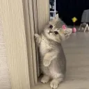 Pov: "