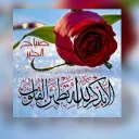 مزاد قطر