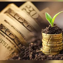 شعار 7Money and Business