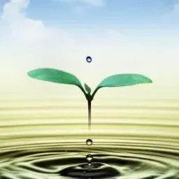 شعار من كل بستان زهرة