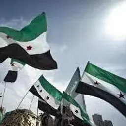 شعار المحرر نيوز