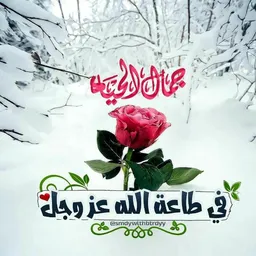 شعار حياتي في طاعة الله 0️⃣1️⃣