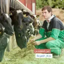 Animal Production