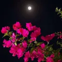 حكمه عظيمه