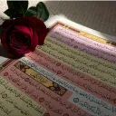 نبض الحياه