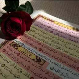 شعار قناة نبض الحياه