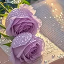 كَلَّمَـےـاتِـ صادقه✍️️