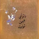 نور الهدي