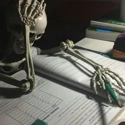 شعار عشوائيات