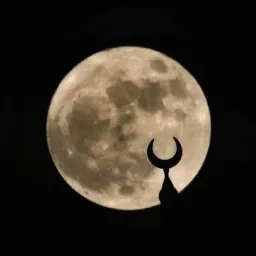 شعار -  رمضان يجمعنا   ..