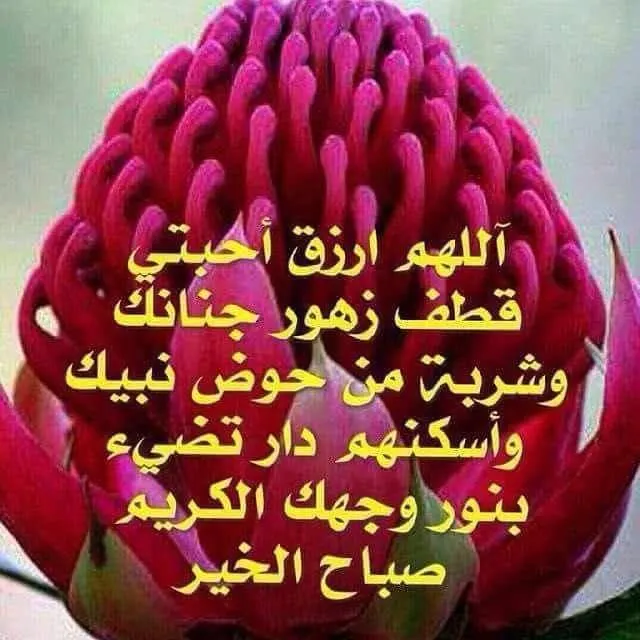 اعلانات للمصريين فقط - مجموعة واتساب