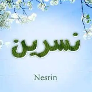 جروب المواد الغذائيه - مجموعة واتساب