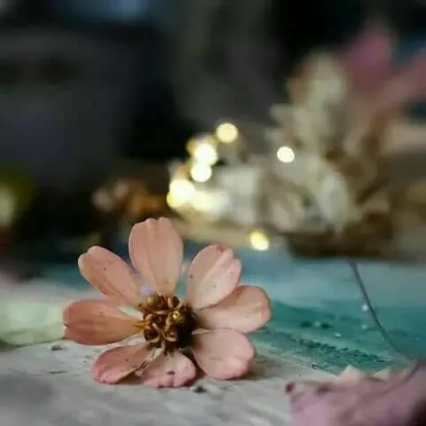 منوعات وحالات - مجموعة واتساب
