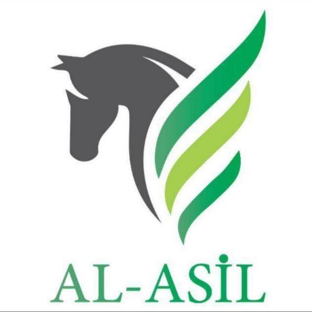 الأصيل / عقارات اسطنبول - مجموعة واتساب