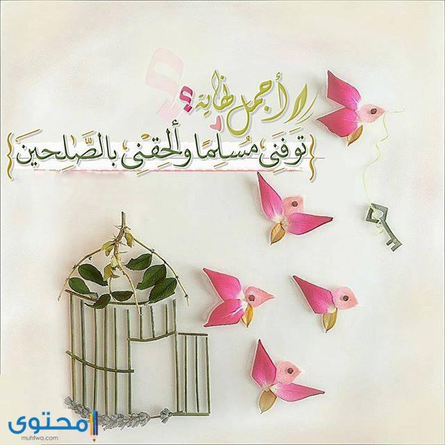 المتوكلون على الله - WhatsApp Group