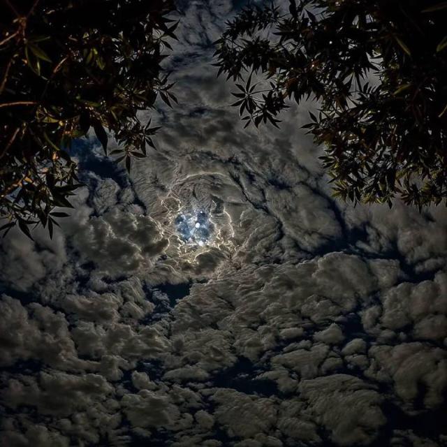 JO MAN || ْجُو مَ ٰن