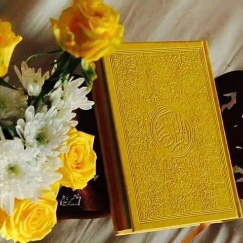 ❀ زَادُ المُسْلِم ❀ | ̶̶̶̶̶